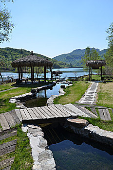 cau lo ve ca cap