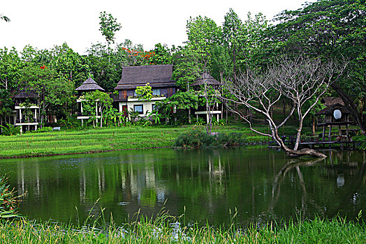 soi cau xs mien bac