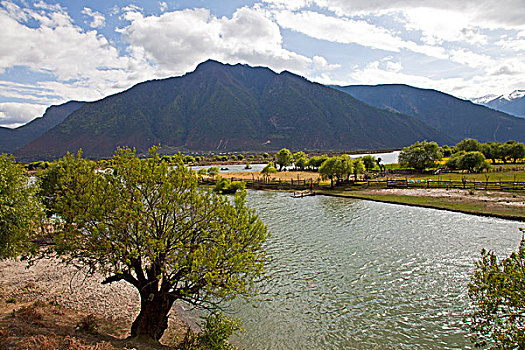 danh lo de tren mang