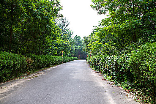 lo khung rong bach kim