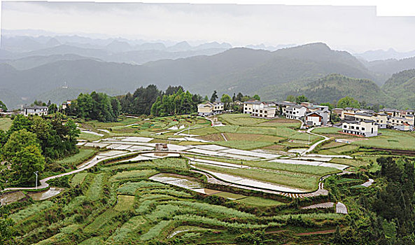 tra cứu xổ số
