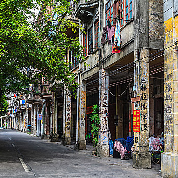 soi rong bạch kim