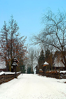 kqxs rong bach kim