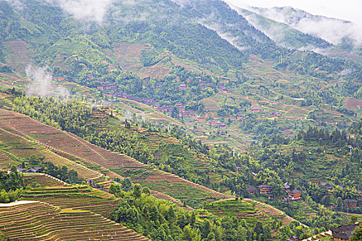 soicau bachthu khung 3 ngay
