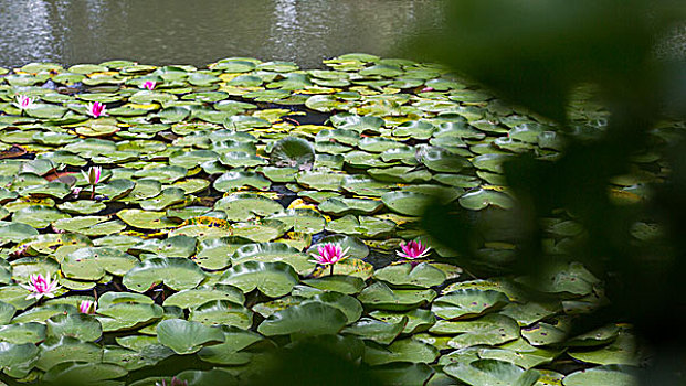 kqxs bến tre
